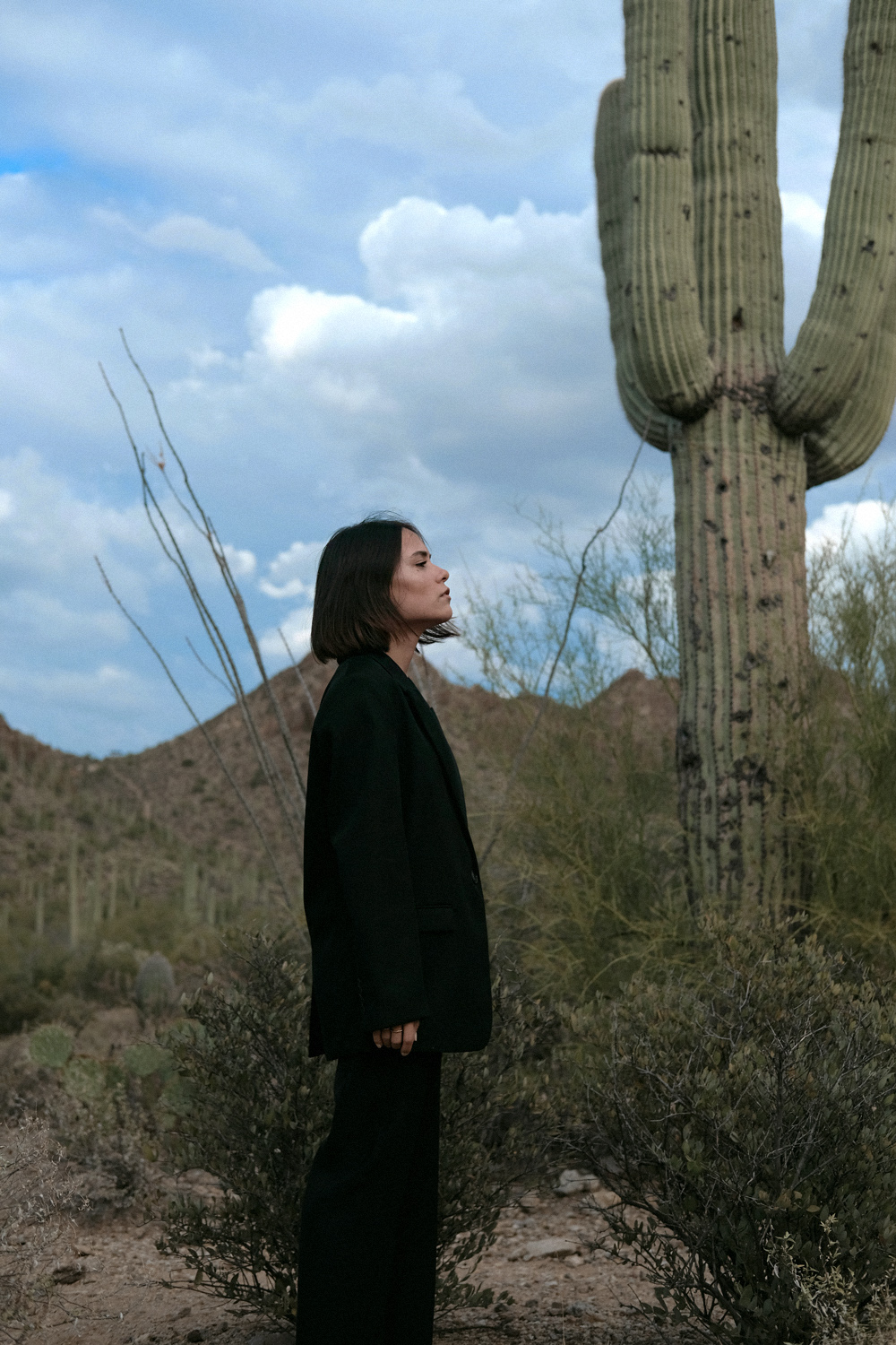 Saguaro National Park. Nisi is wearing: Oversized back blazer H&M, Black flared trousers WEEKDAY, Gold chunky chain necklace ESTÉE LALONDE X DAISY, Fat Snake ring ALL BLUES, Fat gold ring DAPHINE