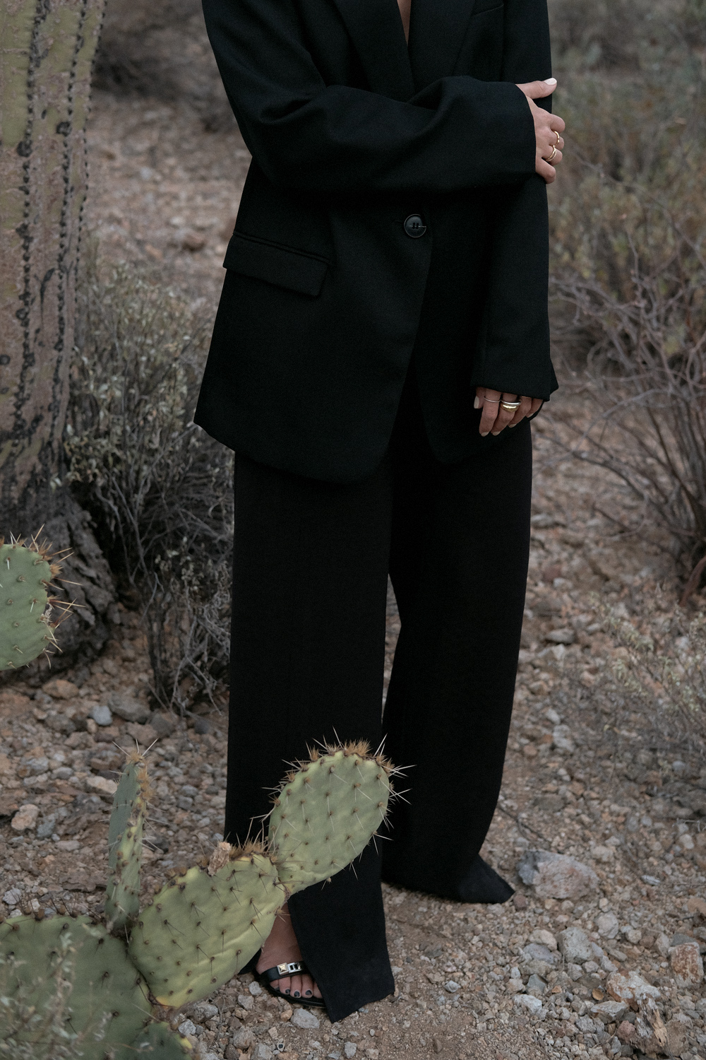 Saguaro National Park. Nisi is wearing: Oversized back blazer H&M, Black flared trousers WEEKDAY, Gold chunky chain necklace ESTÉE LALONDE X DAISY, Fat Snake ring ALL BLUES, Fat gold ring DAPHINE
