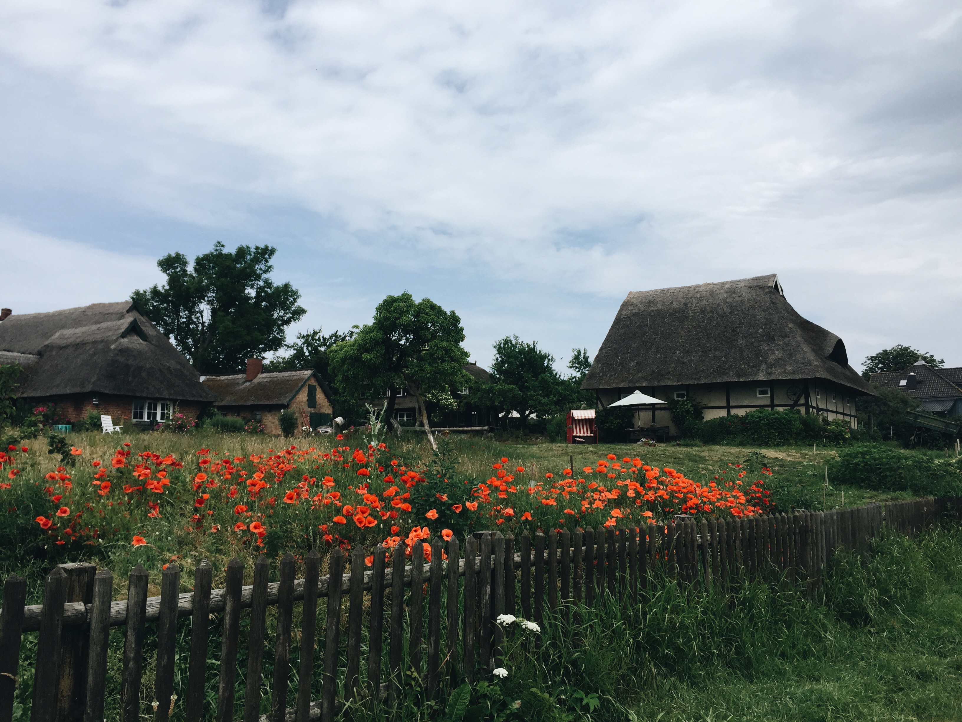 Postcards from the Baltic Sea