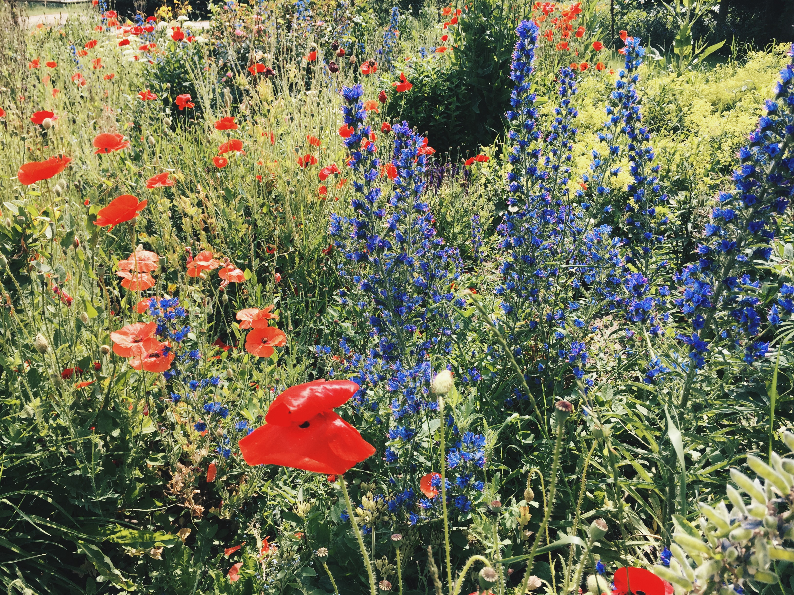 Postcards from the Baltic Sea