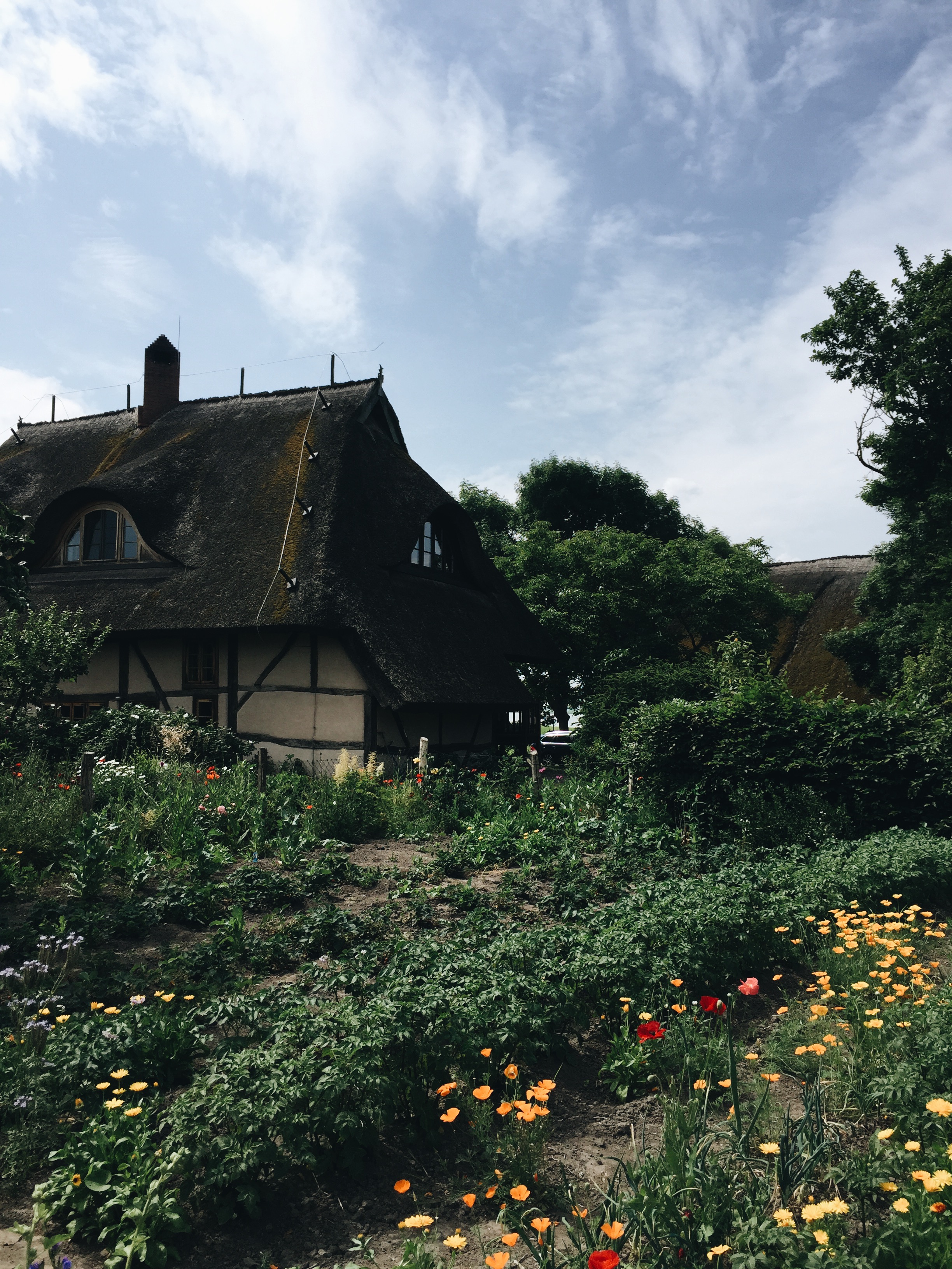 Postcards from the Baltic Sea