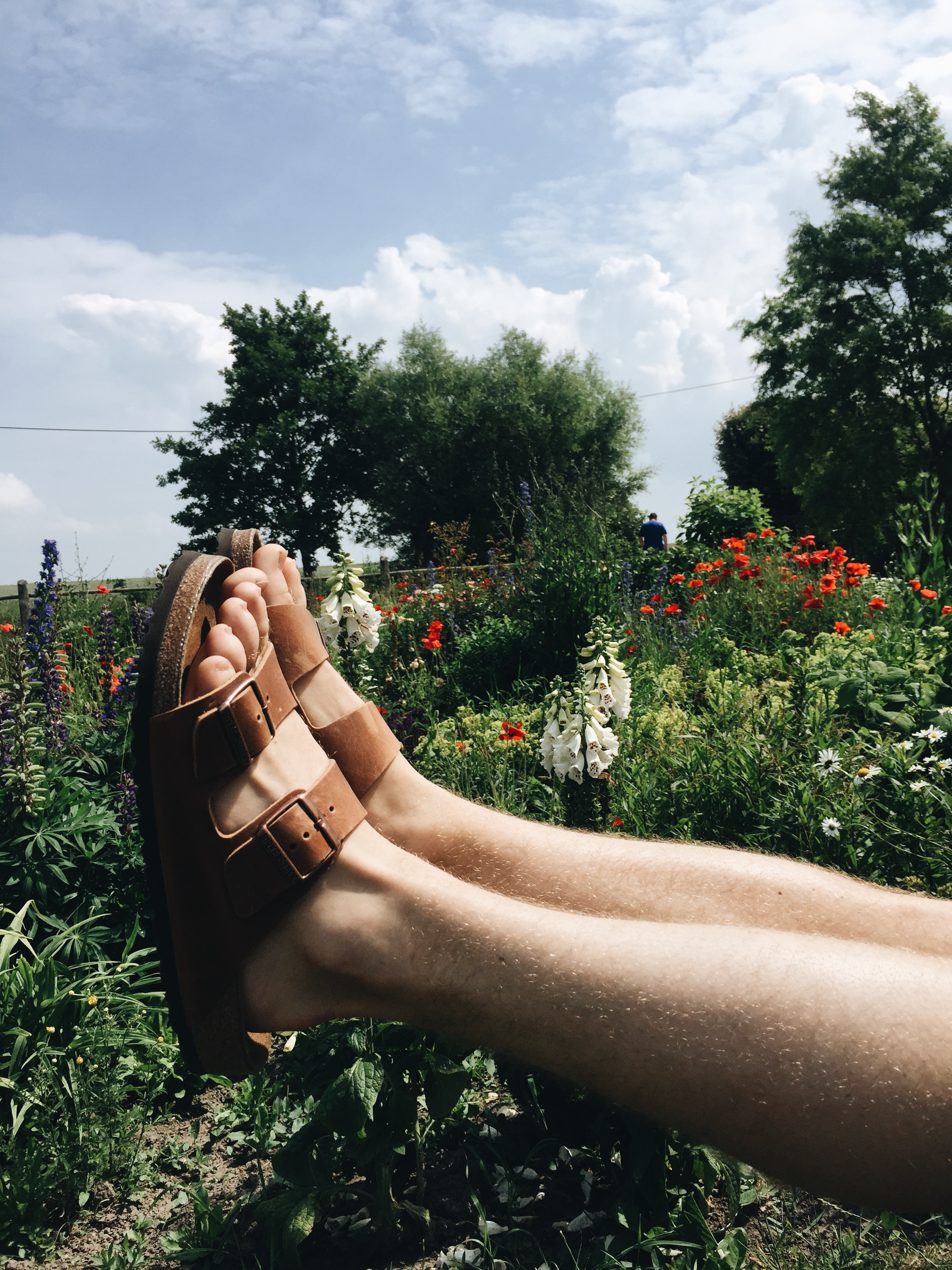 Postcards from the Baltic Sea