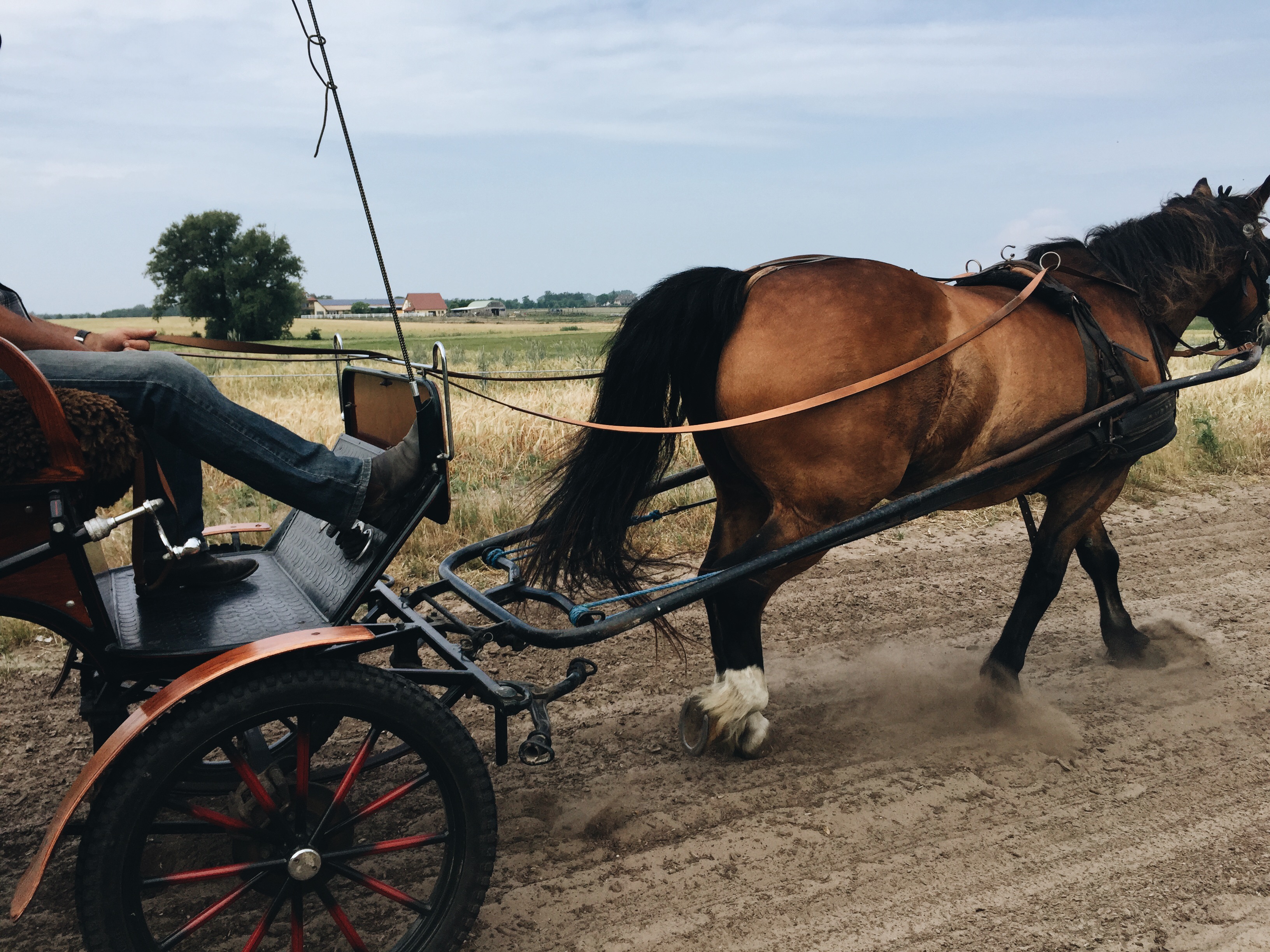 Postcards from the Baltic Sea