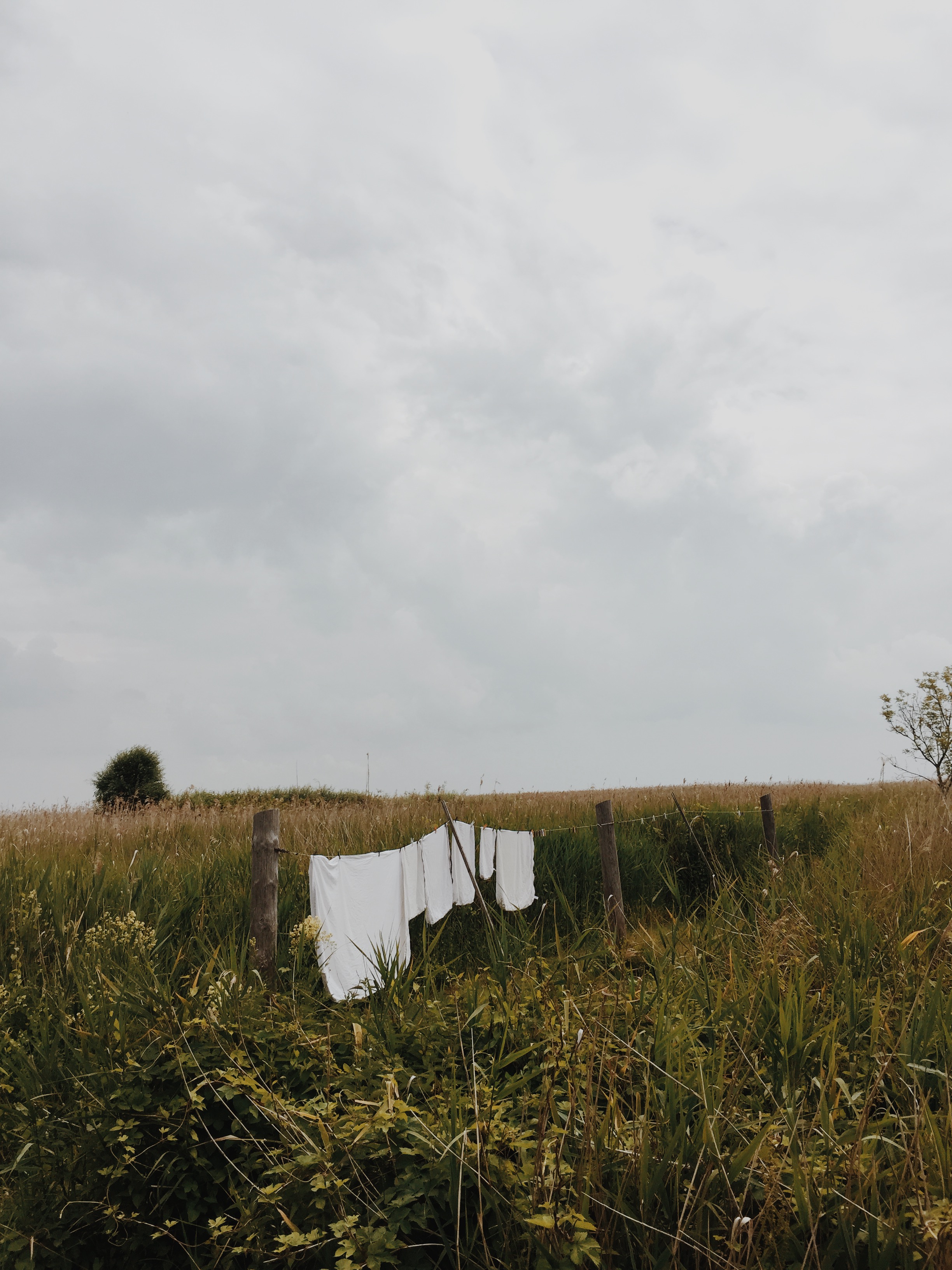 Postcards from the Baltic Sea