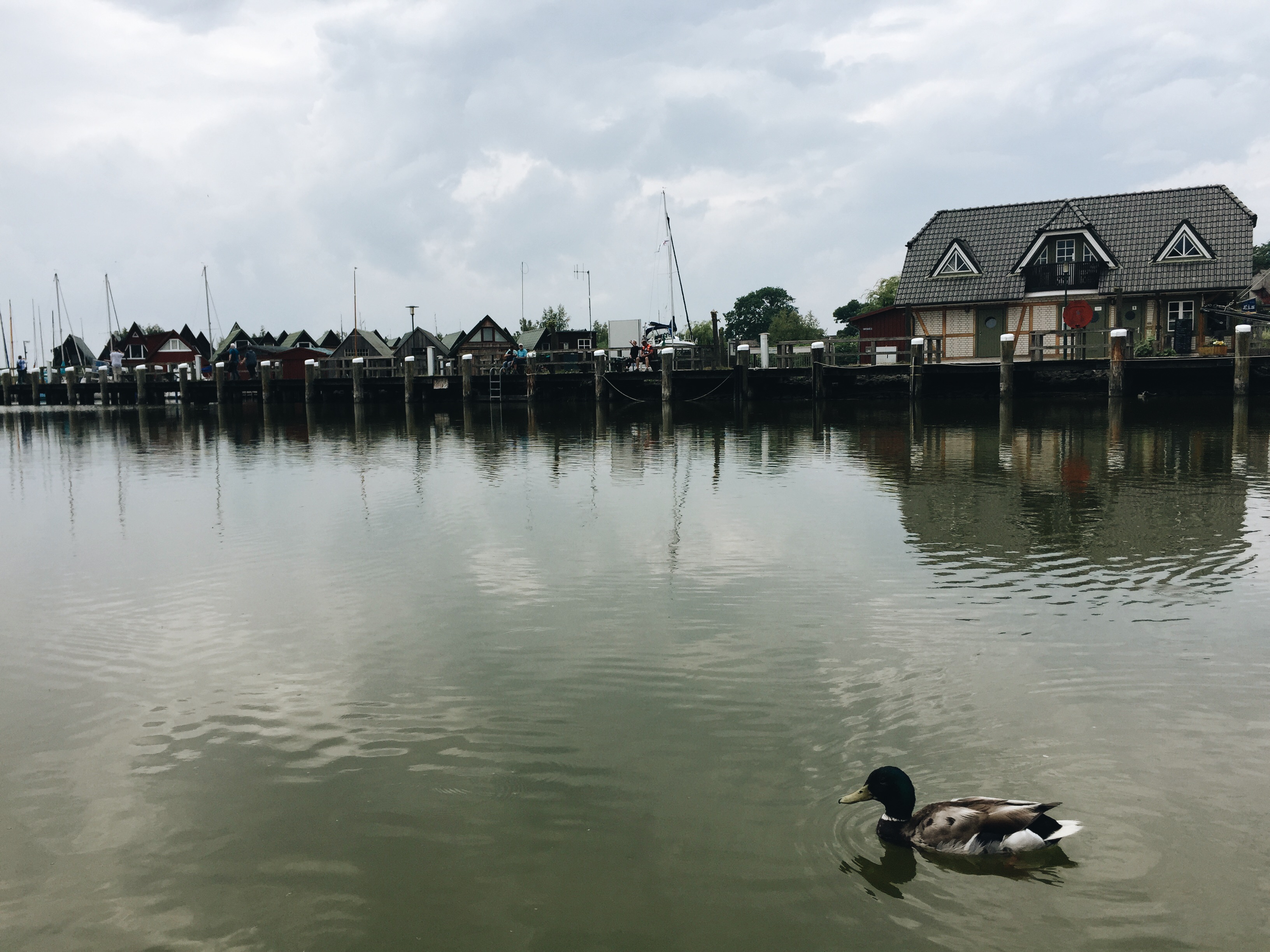 Postcards from the Baltic Sea