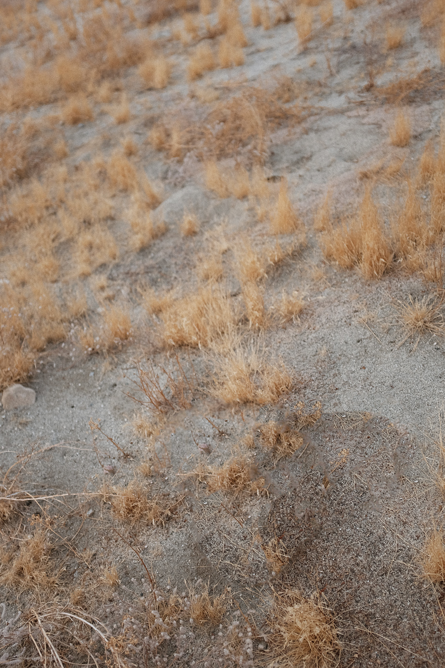 Outfit: Caping up that Blazer. Desi is wearing: Silk top, Blazer, Denim Mom jeans, Sandals, Céline Sunglasses, Brie Leon Earrings, Missoma Shark tooth necklace