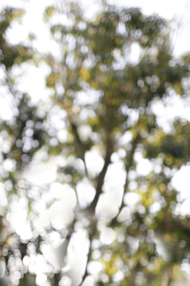 Nisi is wearing: Straw bag, striped skirt with volants, Céline Baby Audrey sunglasses, Nina Kastens Stella Earrings, Hermès Oran sandals