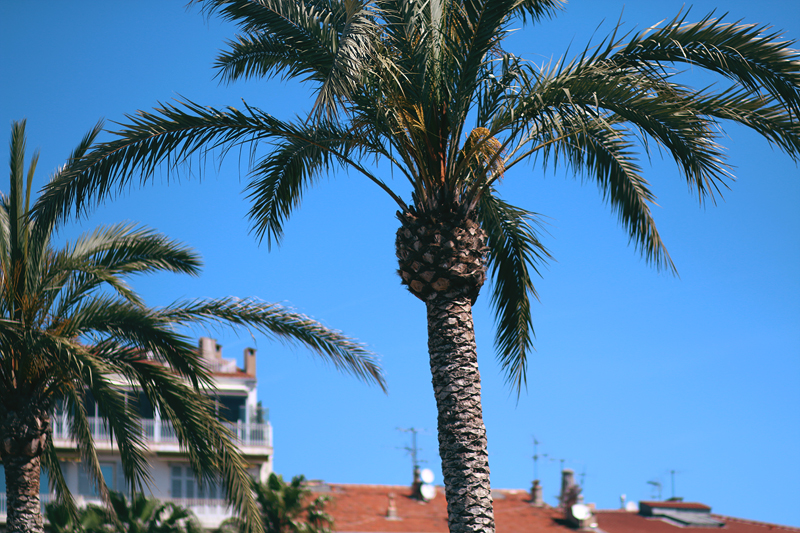 Cannes Film Festival 2016 - Travel Diary