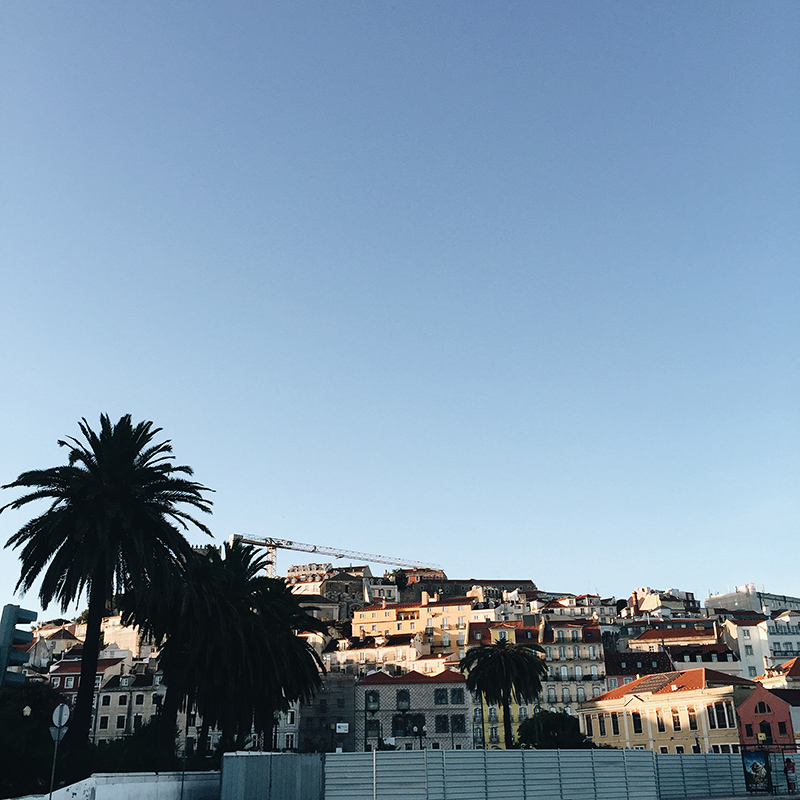 Processed with VSCOcam with a6 preset